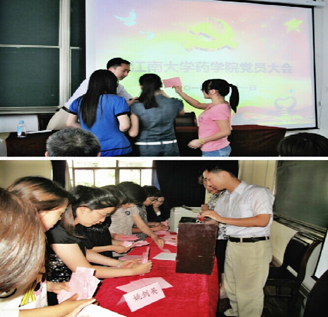 药公司党委换届选举工作圆满完成